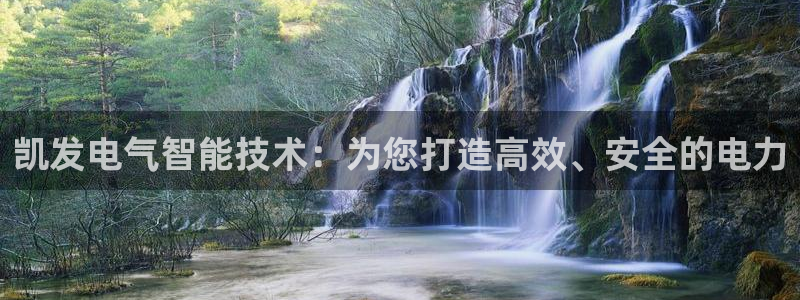 杏宇官网