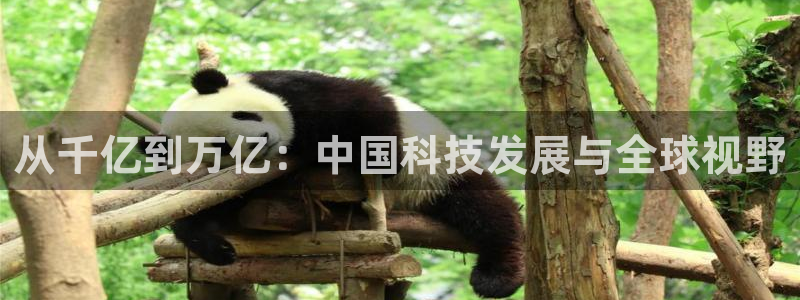 壹号电子娱乐app下载最新版本