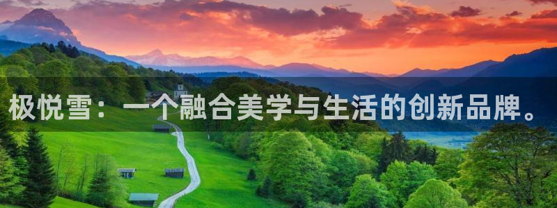 杏宇官方网站下载