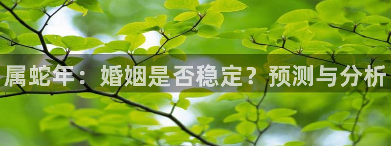 杏宇app下载