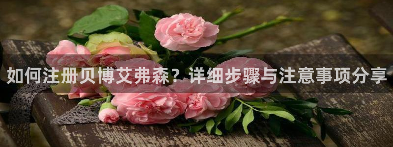 壹号电子娱乐app下载官网