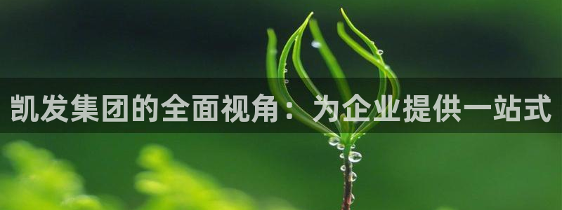 壹号玩家app下载