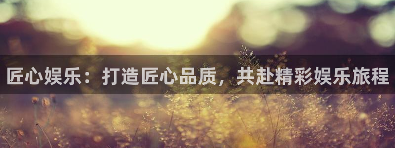 杏宇官网
