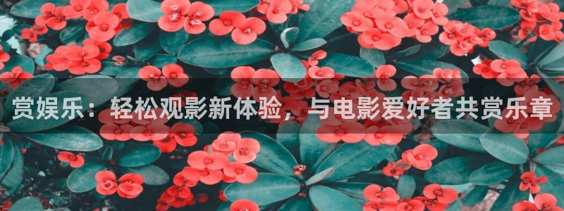 壹号平台娱乐