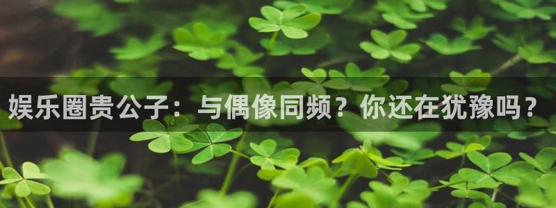 杏宇下载入口