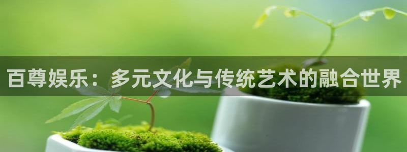 杏宇.com