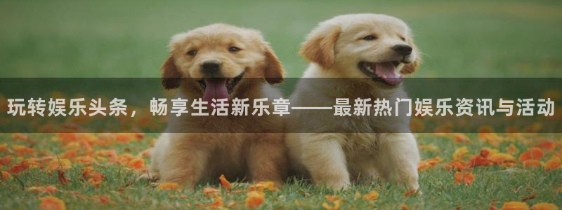壹号平台app下载安装