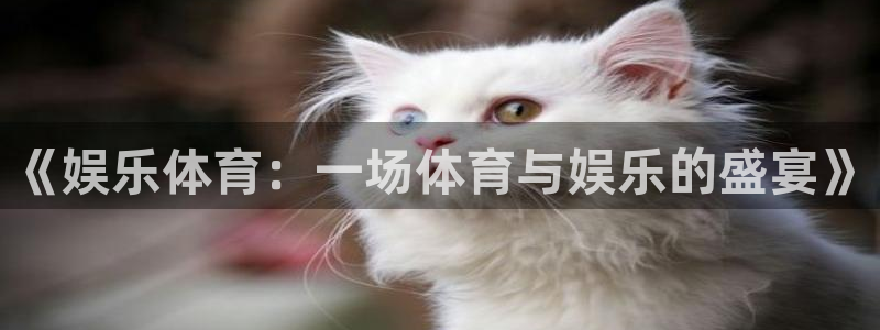 杏宇下载入口