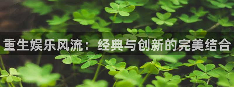 杏宇官网