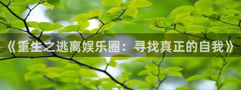 壹号电子娱乐app下载最新版本