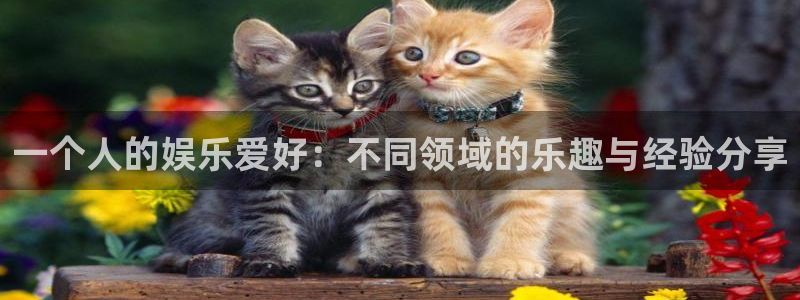 壹号电子娱乐app下载安装