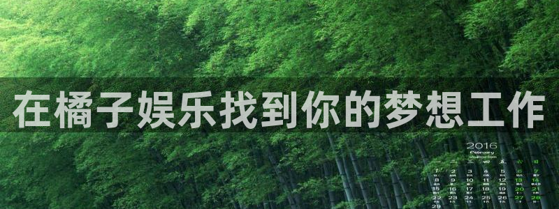 壹号app下载官网娱乐