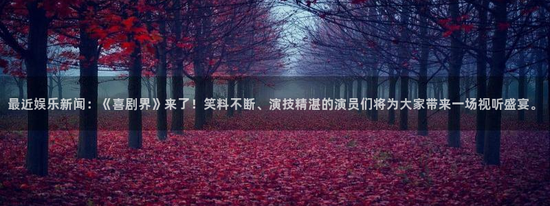 壹号电子娱乐app下载安装