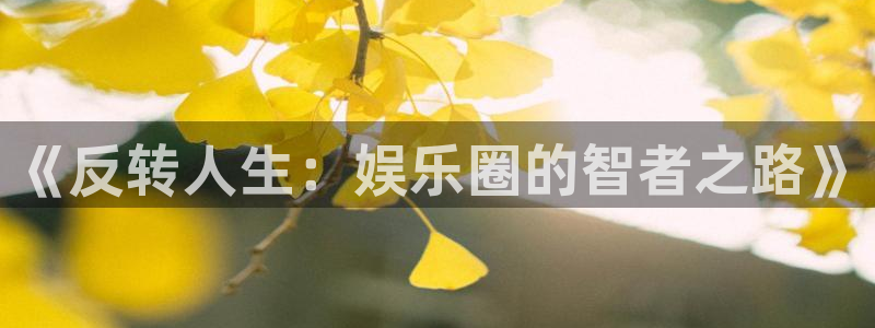 下载杏宇app