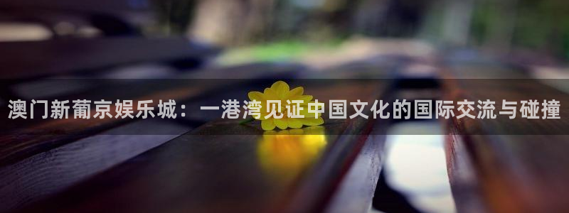 杏宇app官网