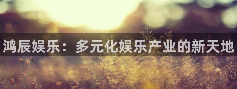 壹号电子娱乐app下载安装最新版本
