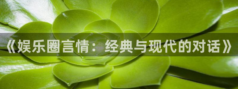 杏宇官网入口