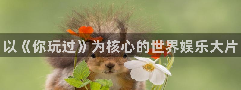 杏宇下载
