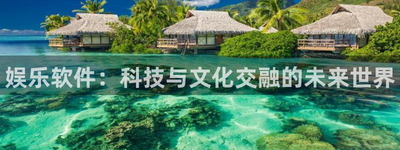 壹号电子娱乐app下载官网