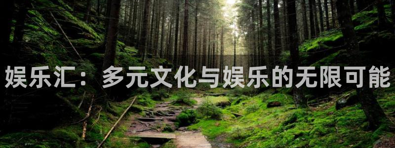 壹号大舞台官网