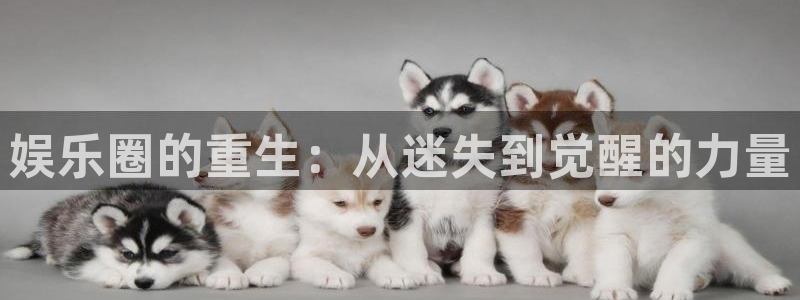 杏宇(com.youad.authst)：娱乐圈的重生：从迷失到觉醒的力量