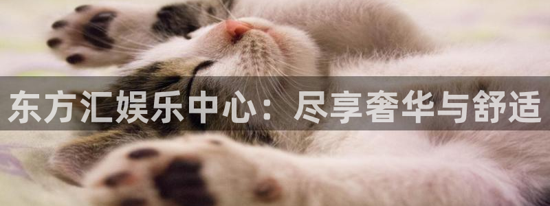 壹号top娱乐：东方汇娱乐中心：尽享奢华与舒适