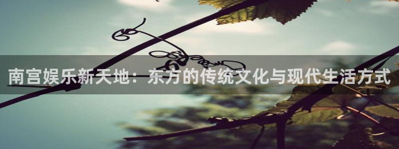 杏宇app：南宫娱乐新天地：东方的传统文化与现代生活方式