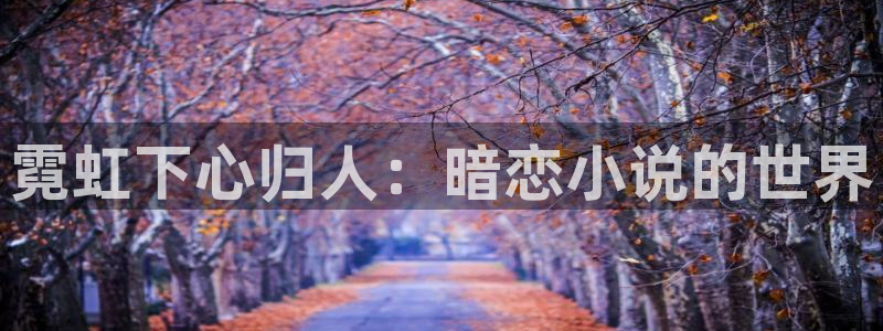 杏宇强制退款流程详解：霓虹下心归人：暗恋小说的世界