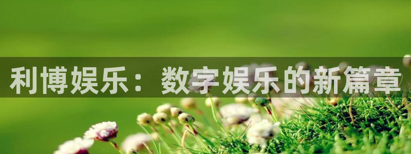 杏宇下载入口：利博娱乐：数字娱乐的新篇章