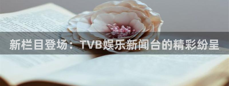 壹号app下载官网娱乐：新栏目登场：TVB娱乐新闻台的精彩纷呈