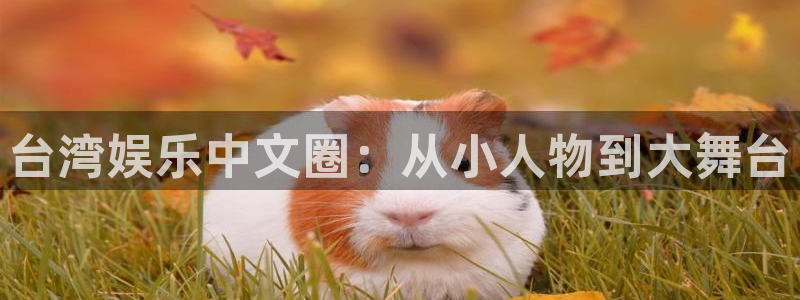 壹号官网app下载安装：台湾娱乐中文圈：从小人物到大舞台