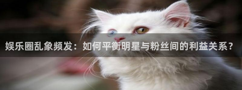 杏宇下载：娱乐圈乱象频发：如何平衡明星与粉丝间的利益关系？