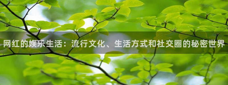 壹号top娱乐：网红的娱乐生活：流行文化、生活方式和社交圈的秘密世界