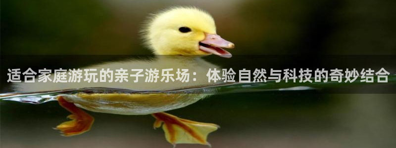 壹号大舞台：适合家庭游玩的亲子游乐场：体验自然与科技的奇妙结合
