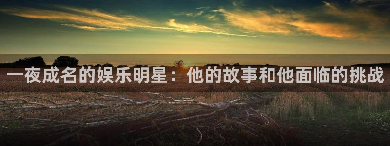 壹号平台娱乐：一夜成名的娱乐明星：他的故事和他面临的挑战