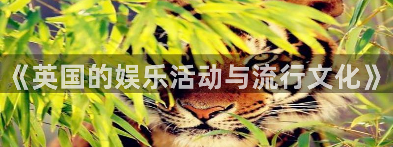 杏宇：《英国的娱乐活动与流行文化》