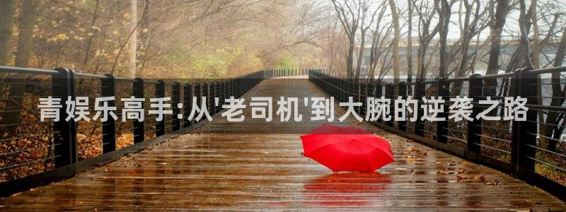 杏宇官方网站下载：青娱乐高手:从\'老司机\'到大腕的逆袭之路