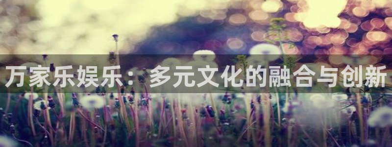 壹号玩家app下载：万家乐娱乐：多元文化的融合与创新